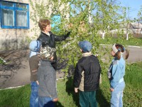 /album/kazatskij-yasli-sad/vypusknoj-2010-003-jpg/